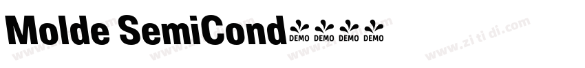 Molde SemiCond字体转换